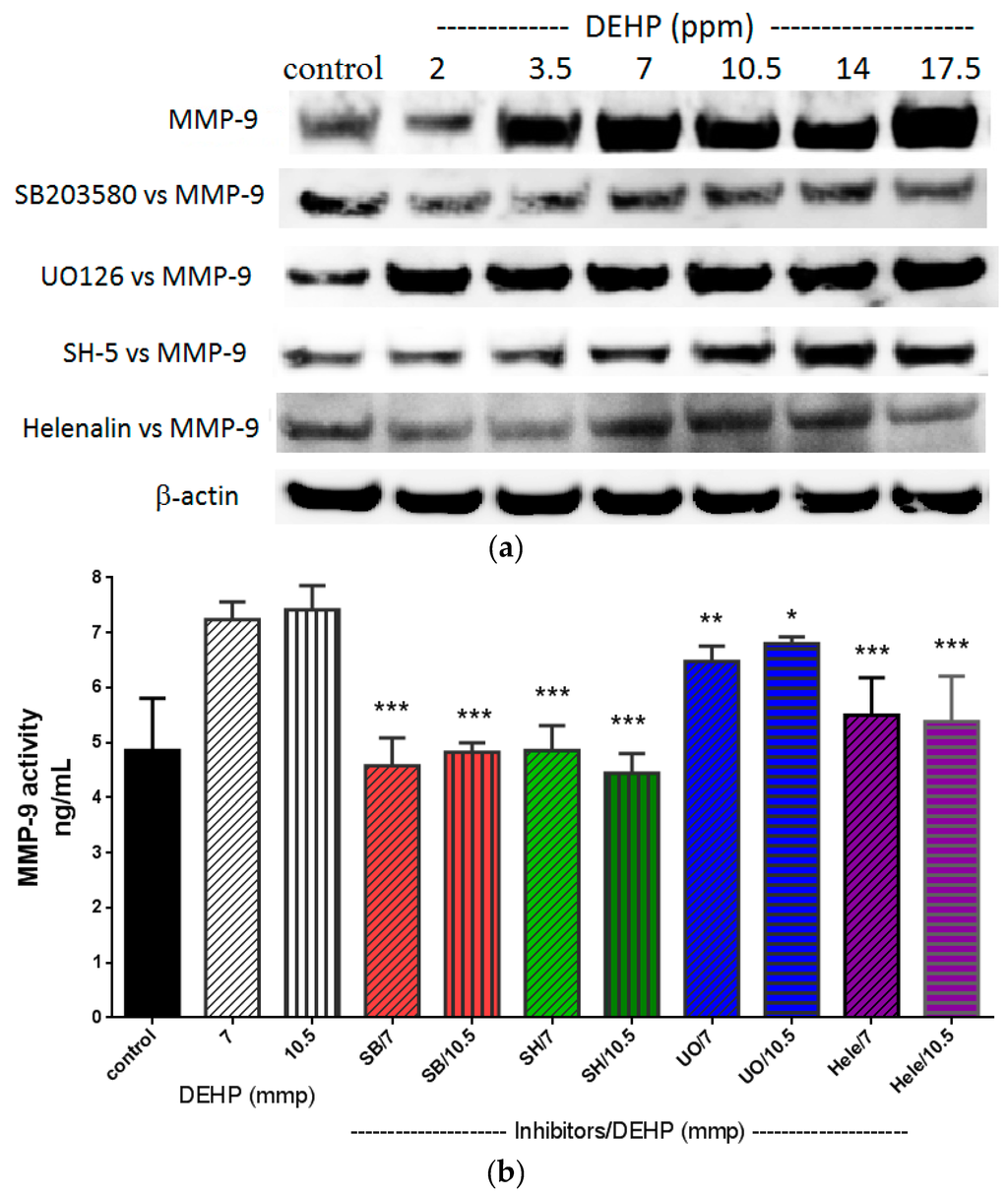 Ijms 16 26131 g005 1024