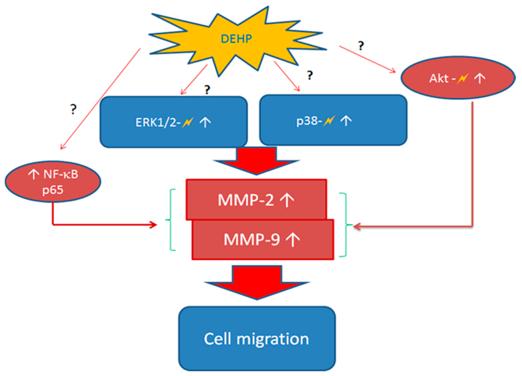 Ijms 16 26131 g007 1024