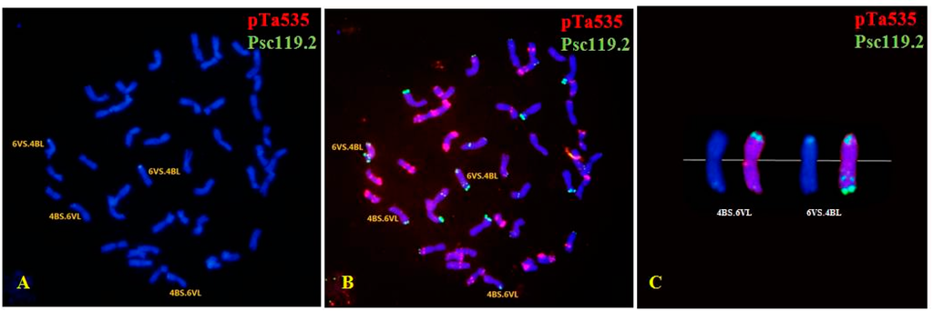 Ijms 16 26134 g003a 1024