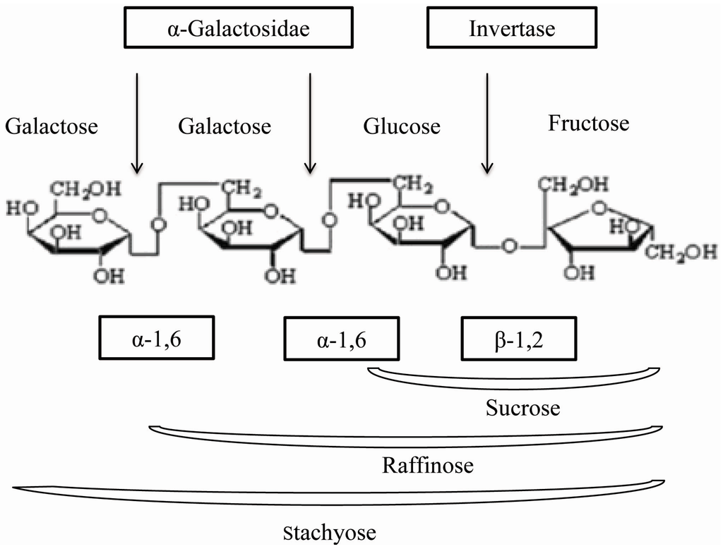 Ijms 16 26159 g001 1024