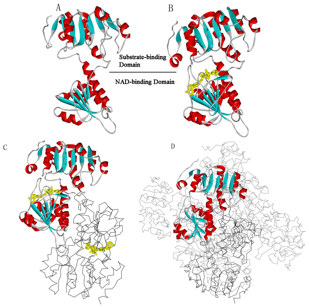 Ijms 16 26170 g001 1024