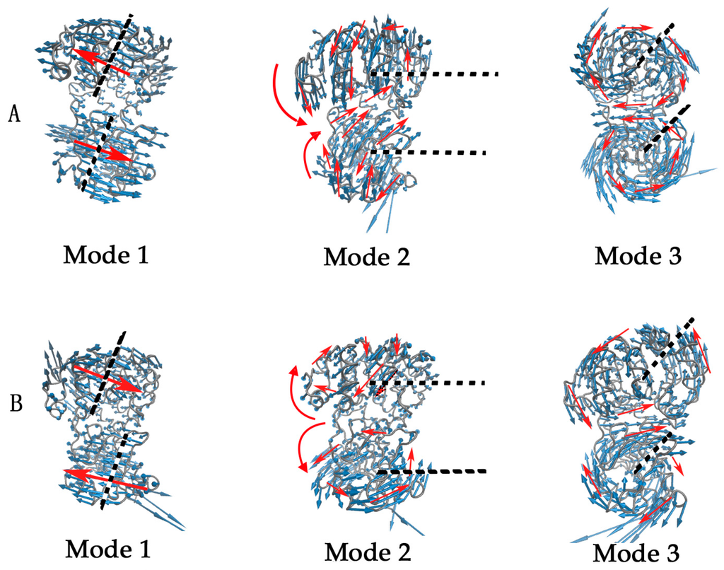 Ijms 16 26170 g004 1024