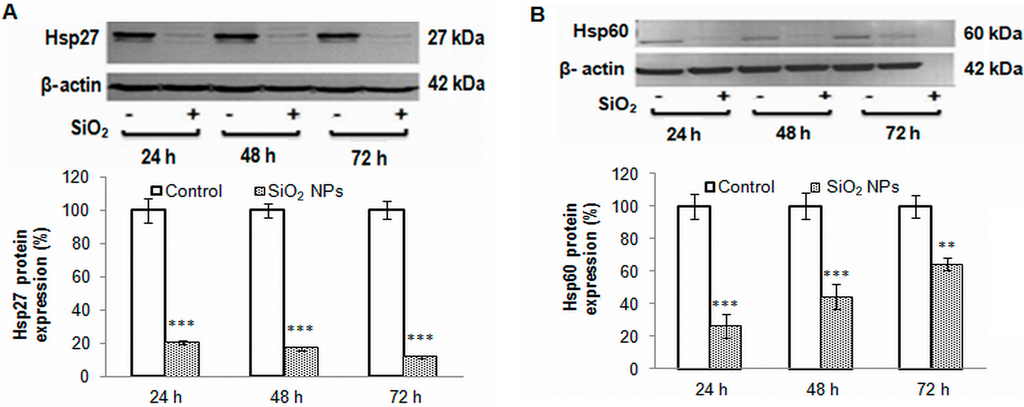 Ijms 16 26171 g006a 1024