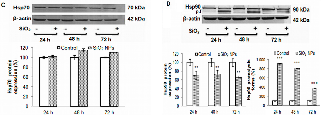 Ijms 16 26171 g006b 1024