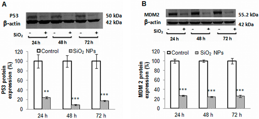 Ijms 16 26171 g007a 1024