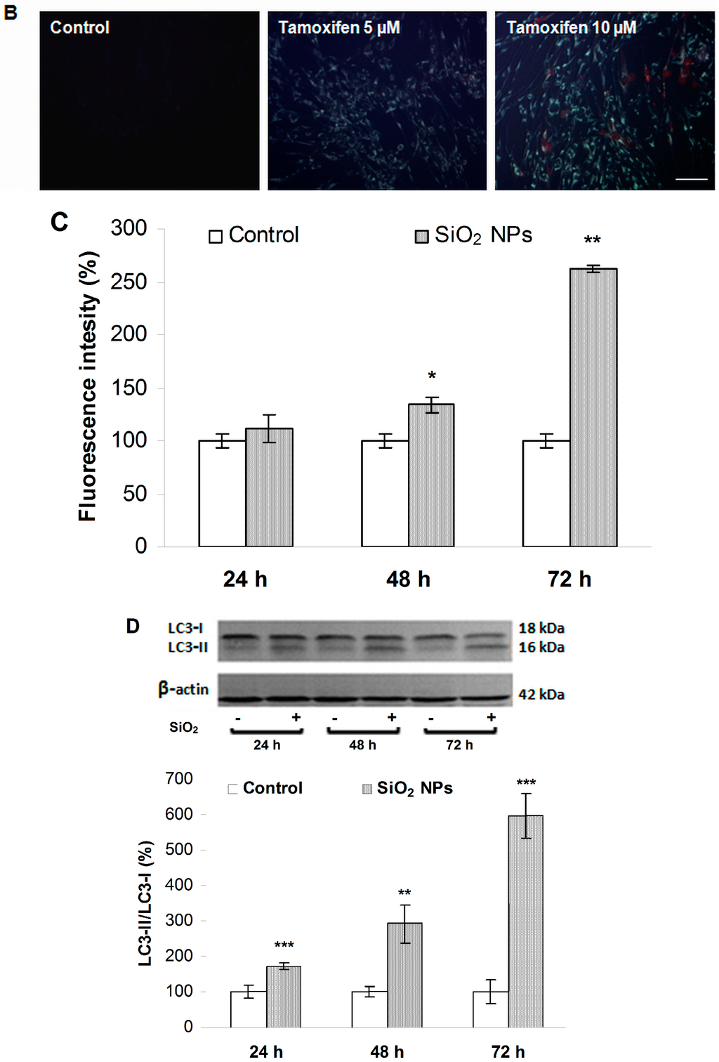 Ijms 16 26171 g008b 1024