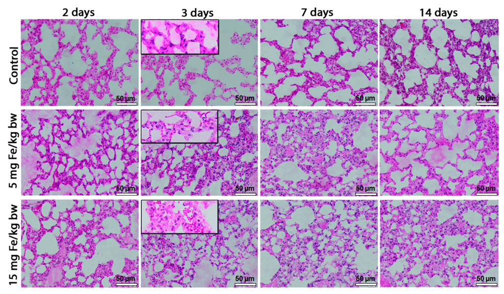 Ijms 16 26173 g002 1024