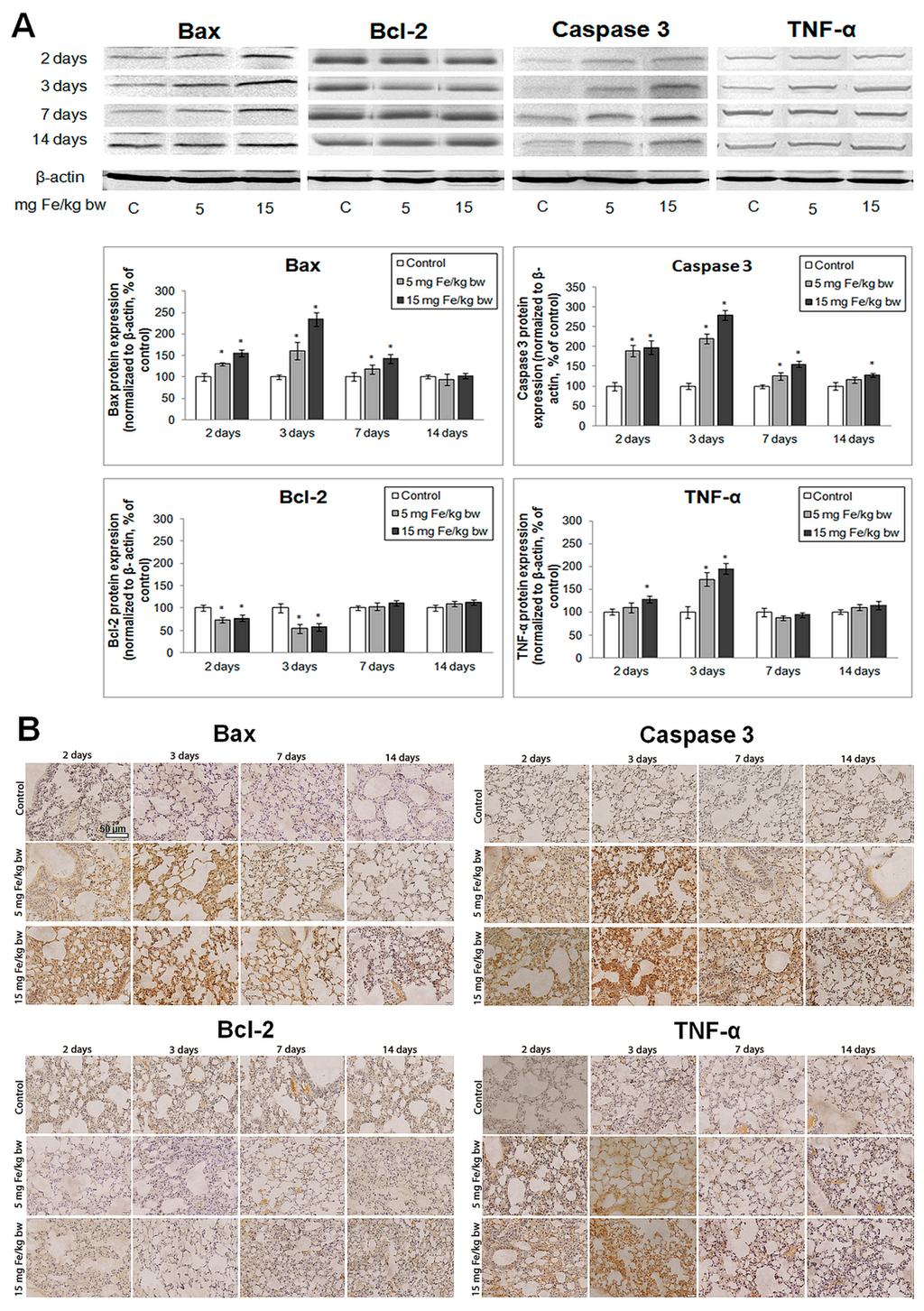 Ijms 16 26173 g008 1024