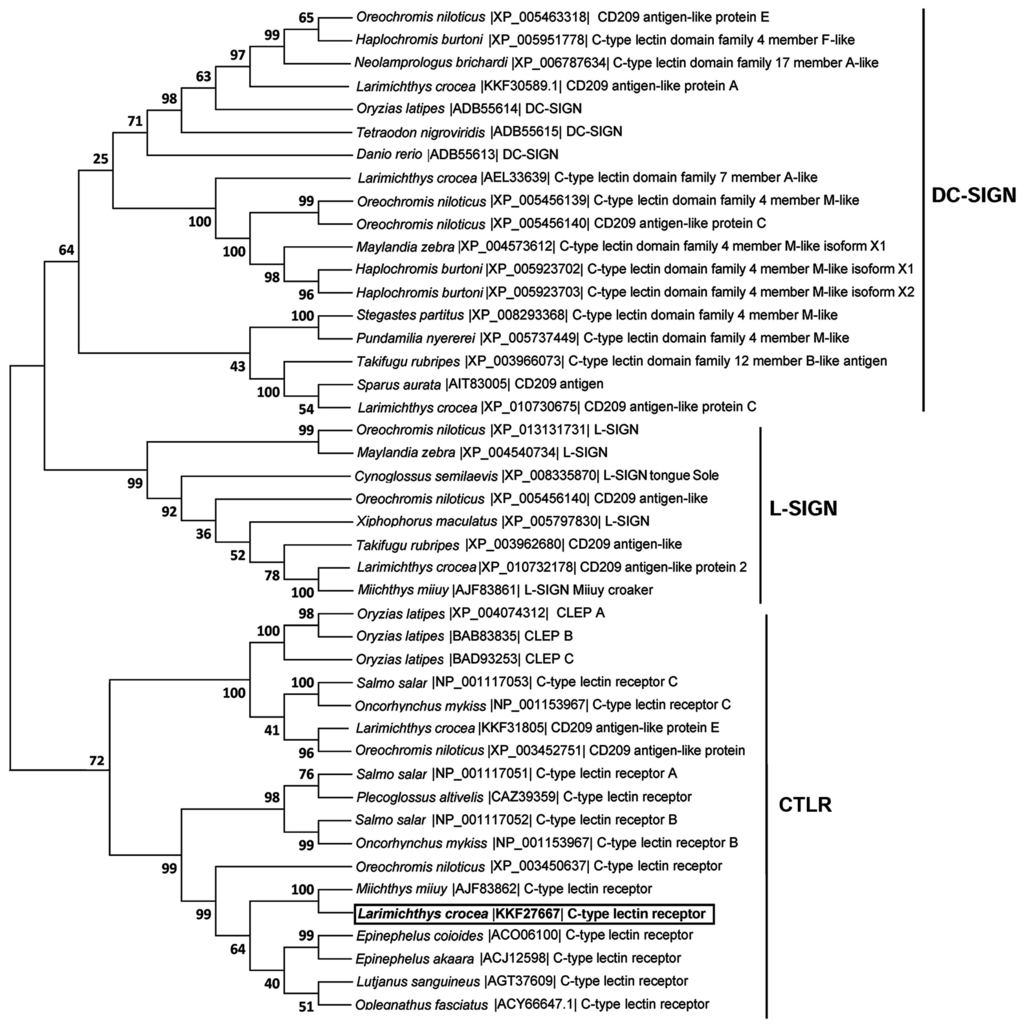 Ijms 16 26175 g002 1024