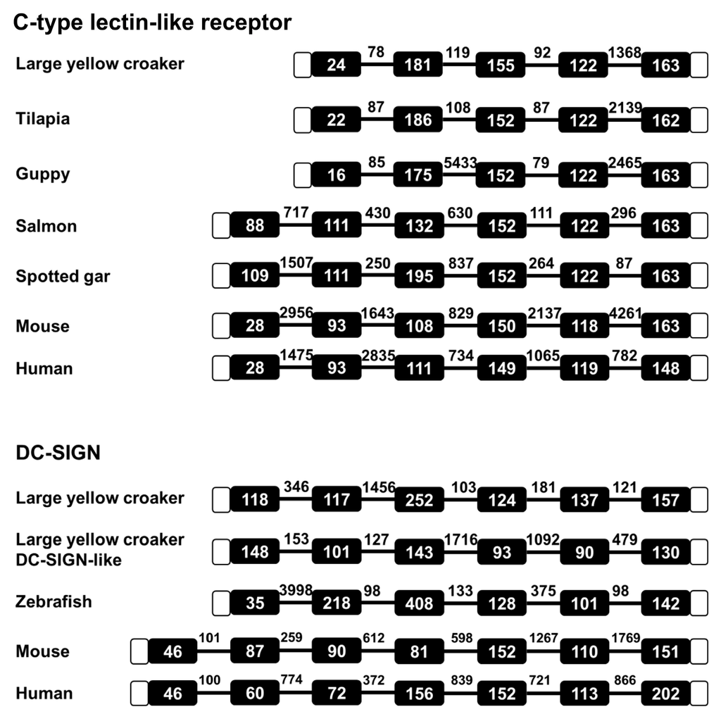 Ijms 16 26175 g003 1024