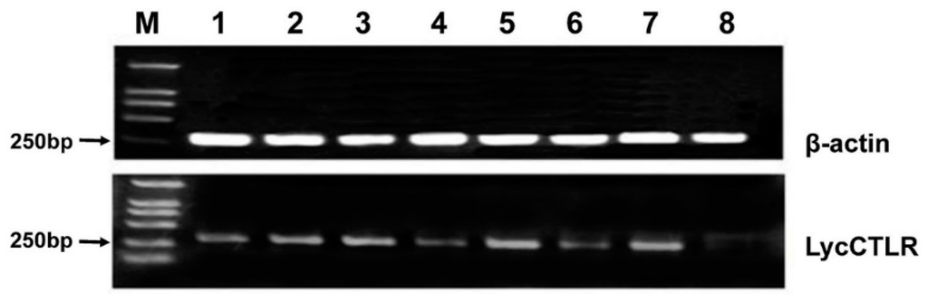 Ijms 16 26175 g004 1024