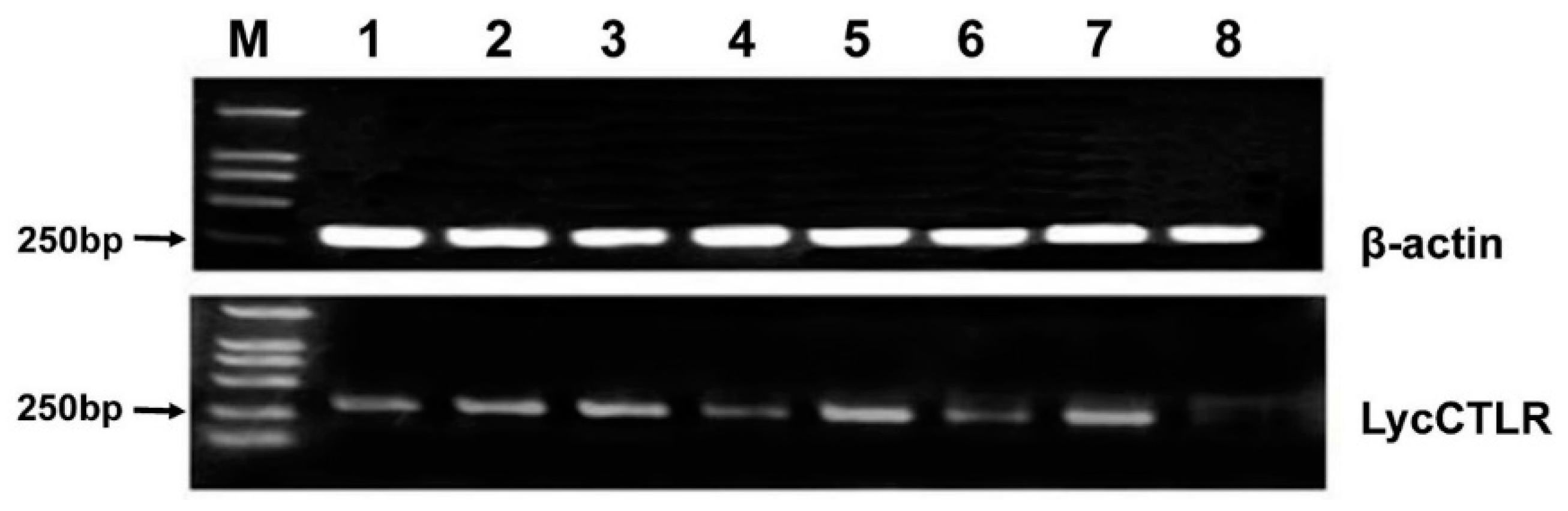 Ijms 16 26175 g004