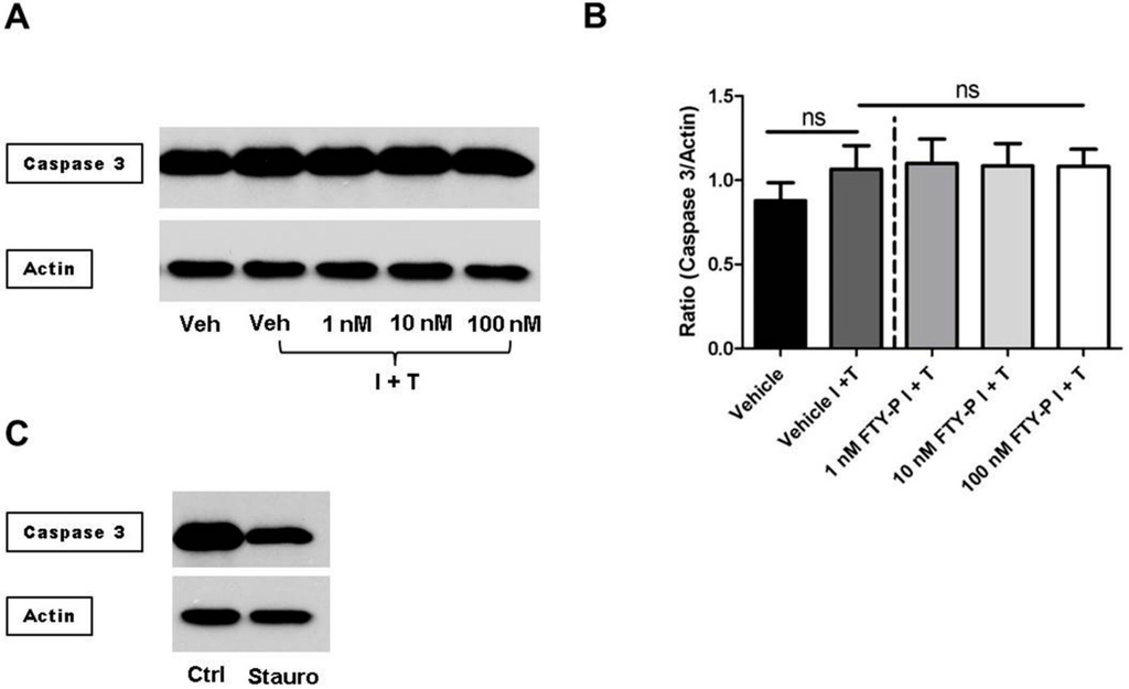 Ijms 16 26177 g003 1024