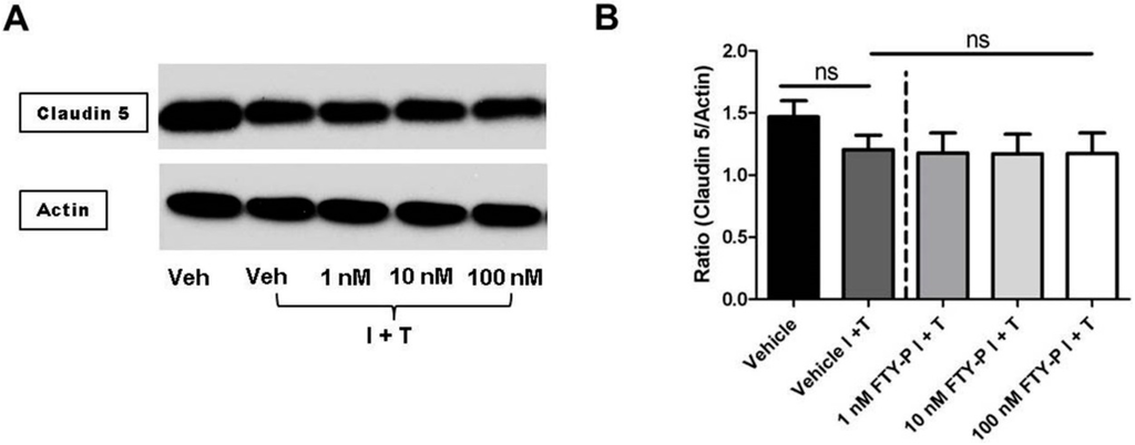Ijms 16 26177 g005a 1024