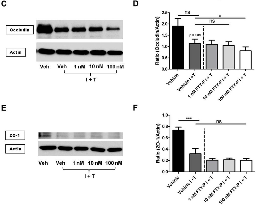 Ijms 16 26177 g005b 1024