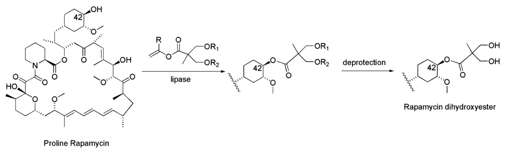 Ijms 16 26191 g012 1024