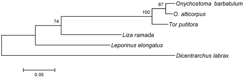 Ijms 16 26193 g004 1024