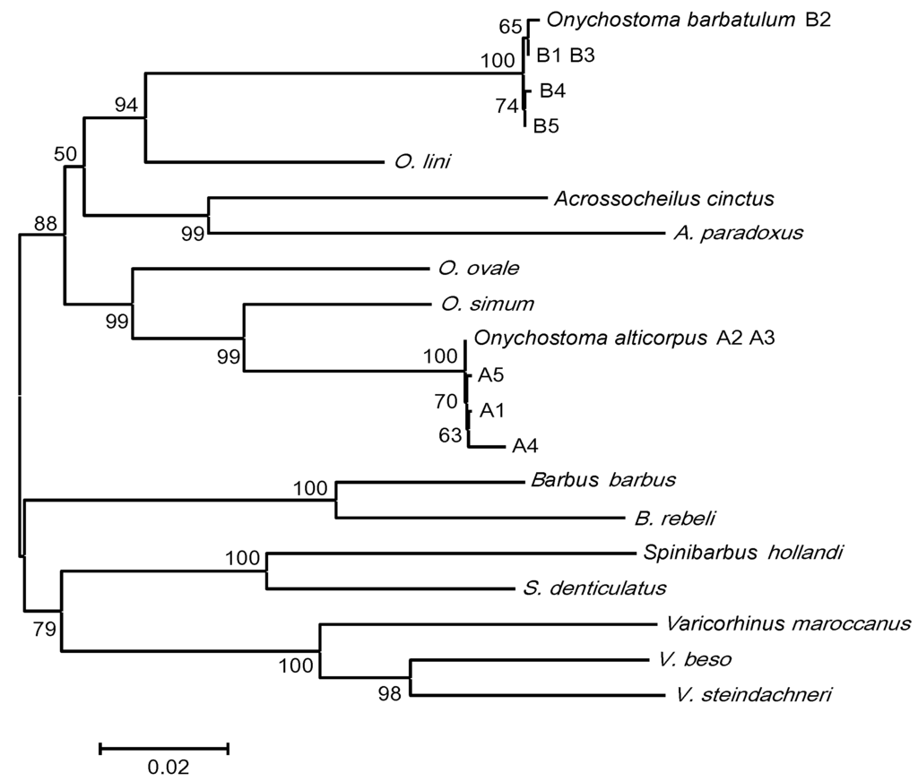 Ijms 16 26193 g006 1024