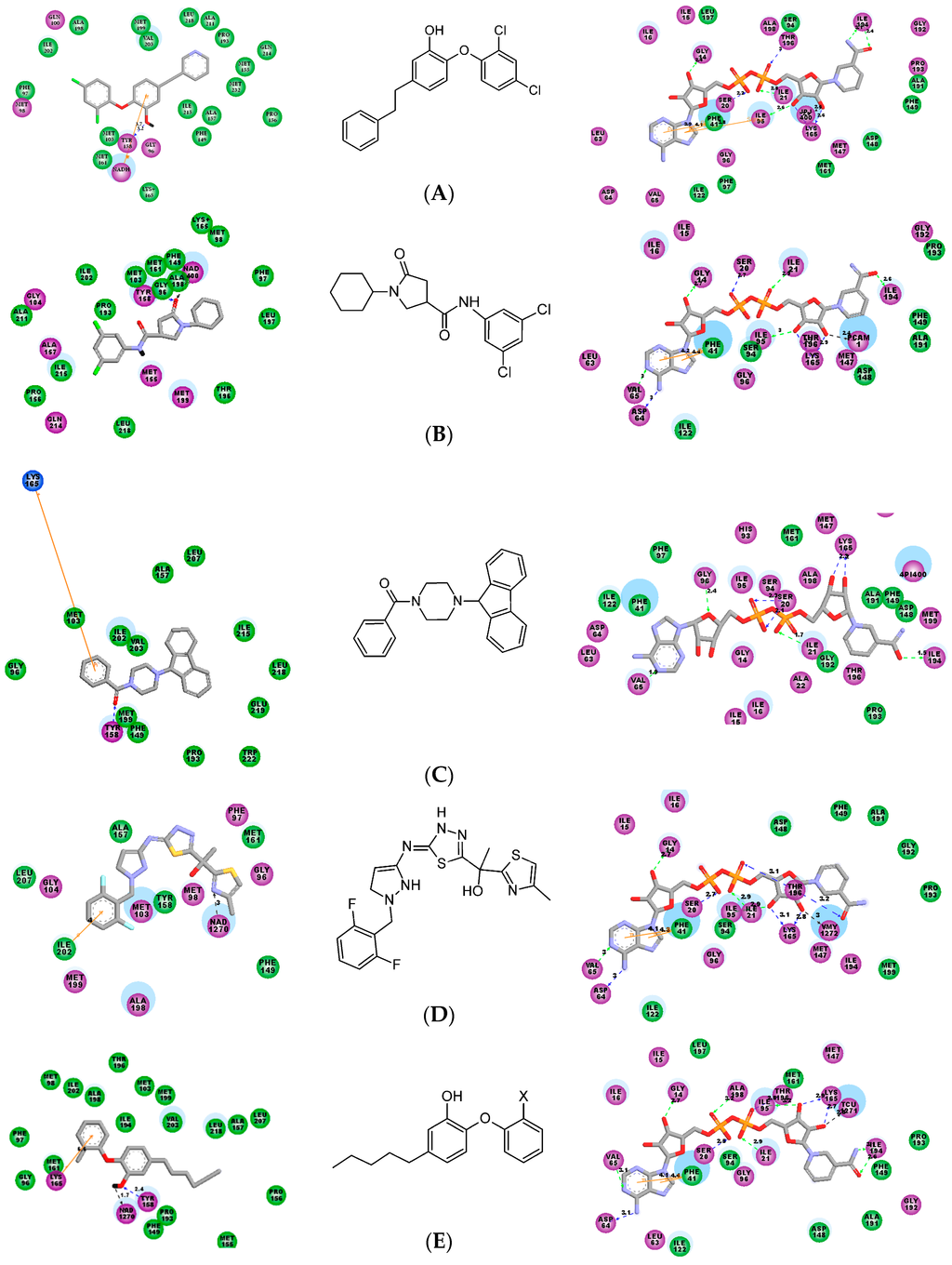 Ijms 16 26196 g002 1024