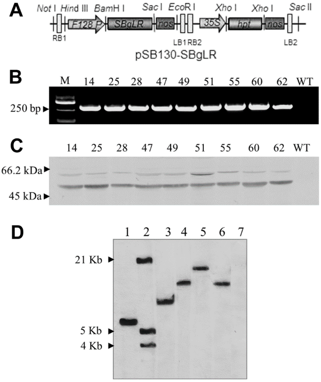 Ijms 16 26199 g001 1024