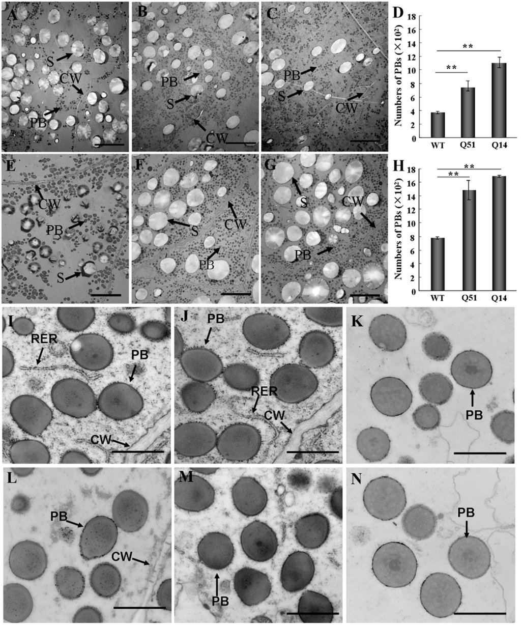 Ijms 16 26199 g003 1024