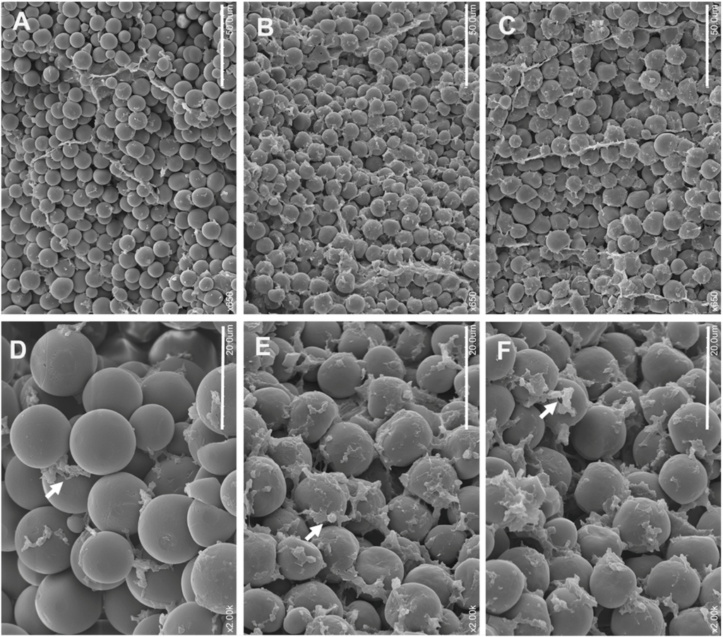 Ijms 16 26199 g005 1024