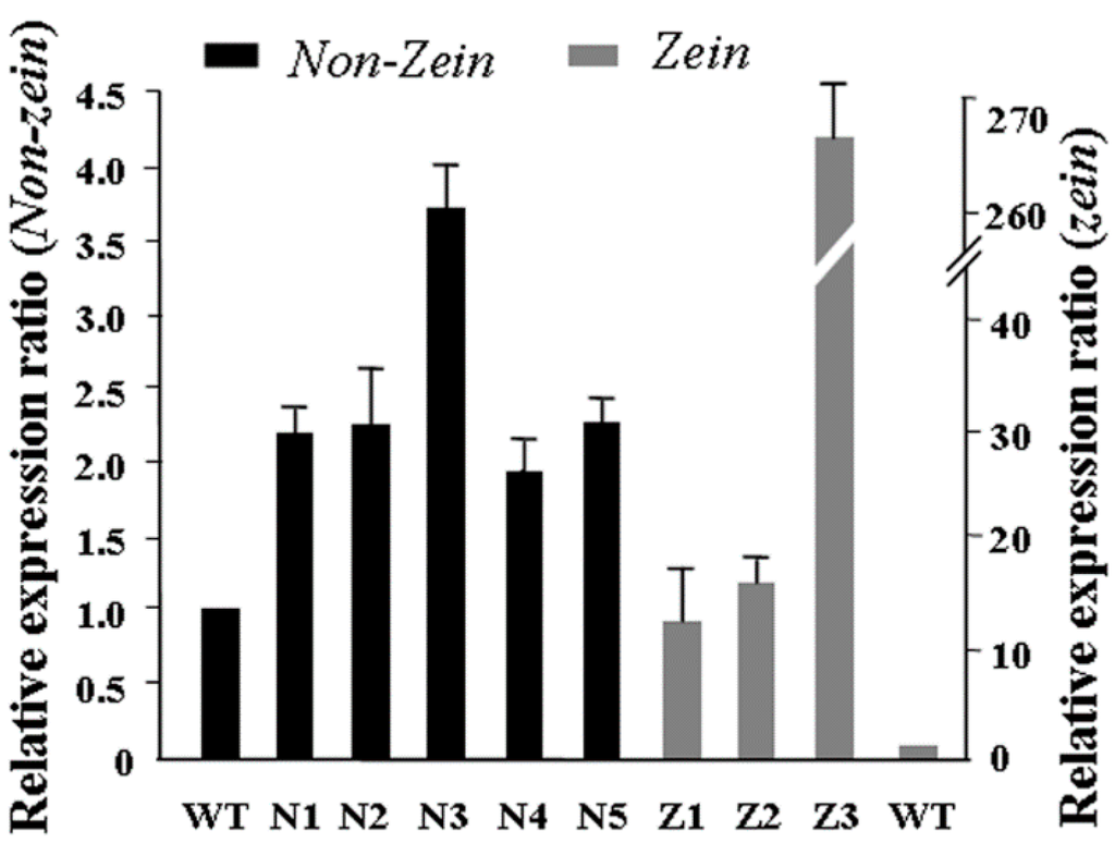 Ijms 16 26199 g006 1024