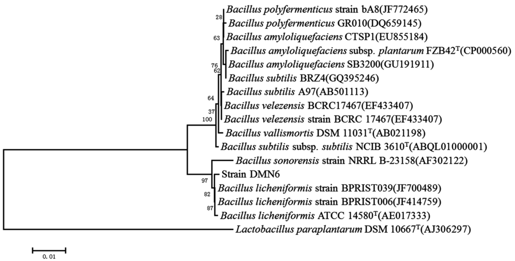 Ijms 16 26200 g002 1024