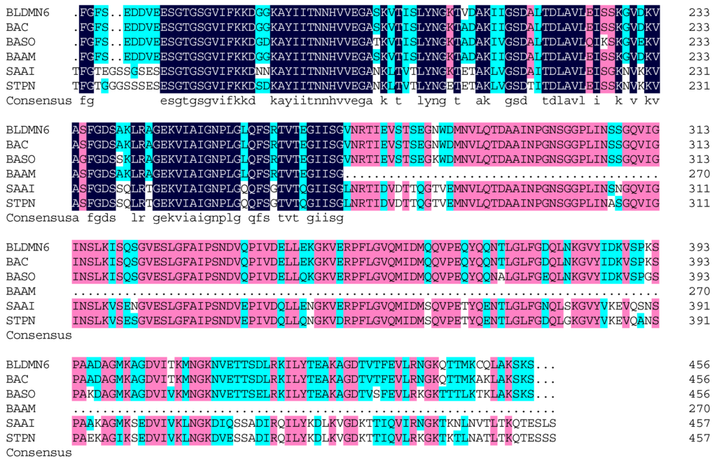 Ijms 16 26200 g007b 1024