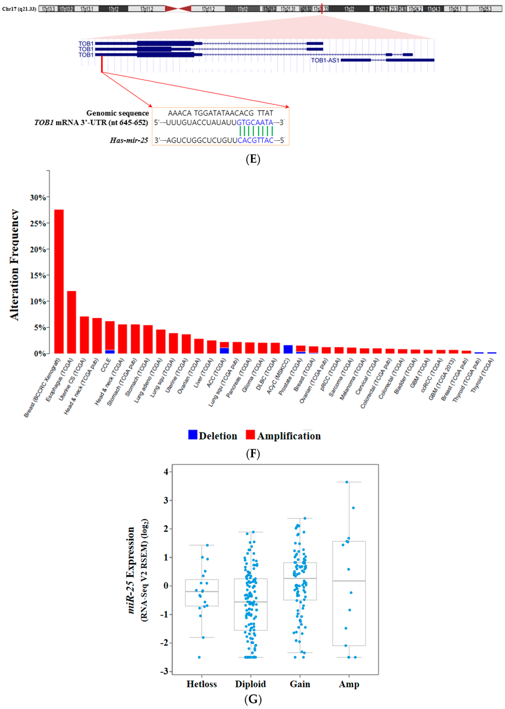 Ijms 16 26203 g003c 1024