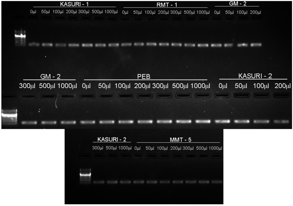 Ijms 16 26208 g001 1024