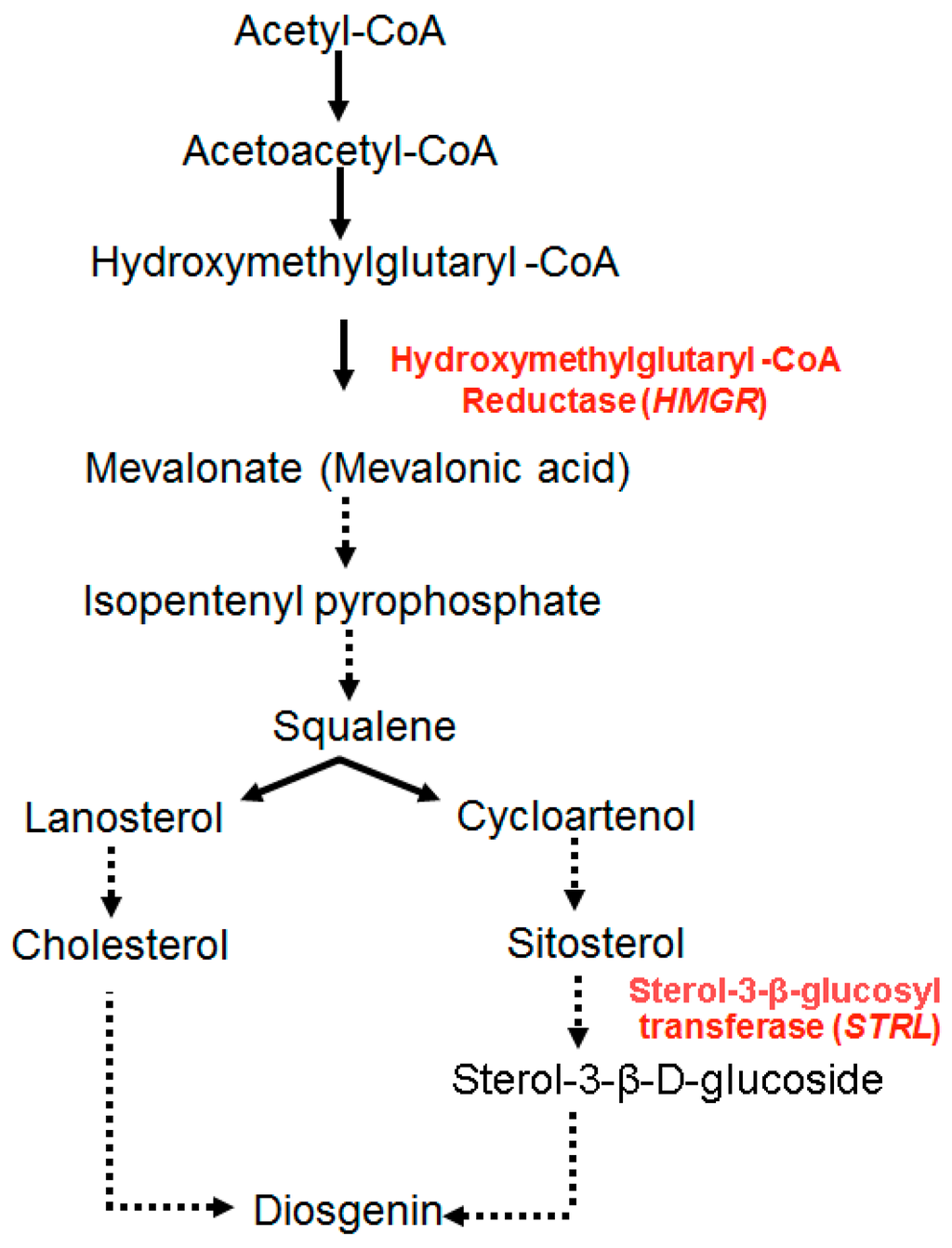 Ijms 16 26208 g003 1024