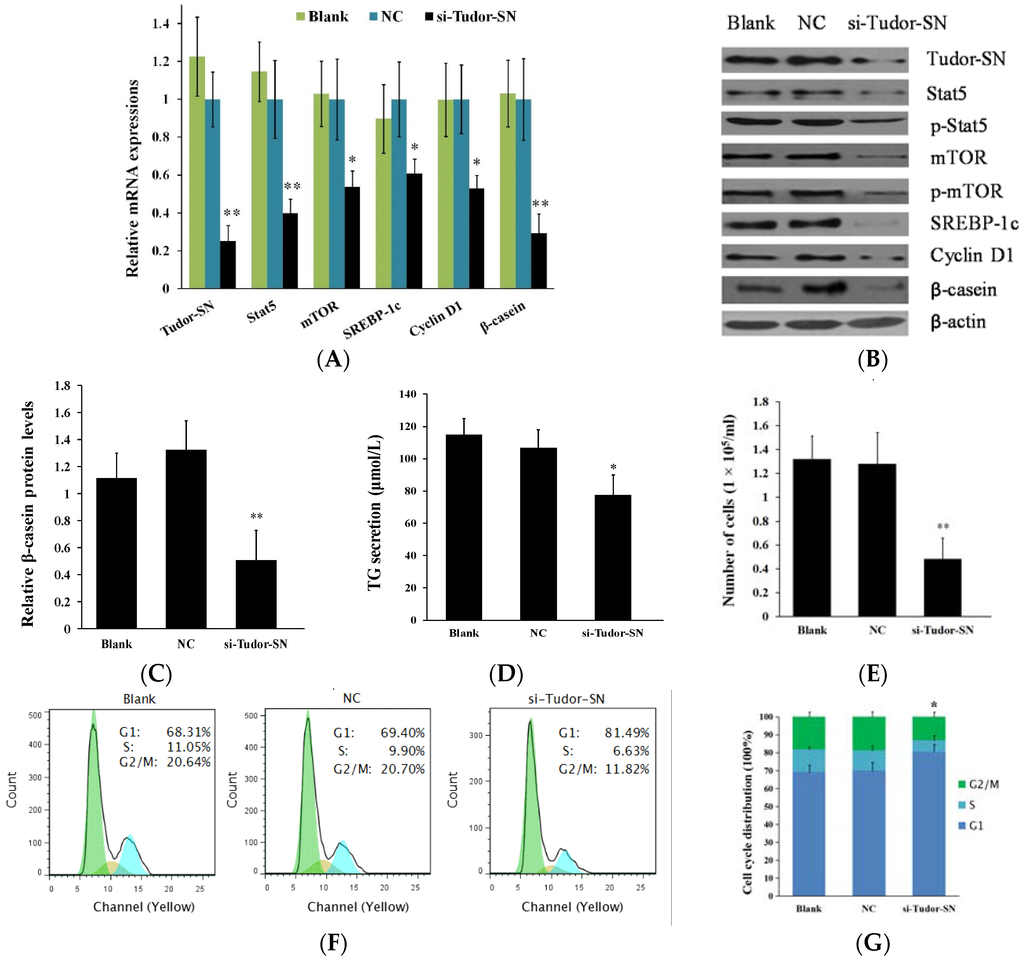 Ijms 16 26212 g002 1024