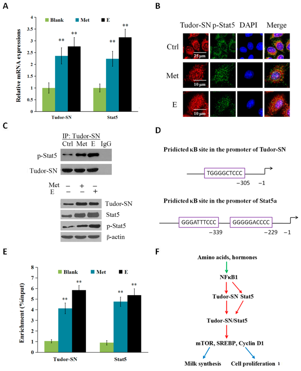 Ijms 16 26212 g003 1024