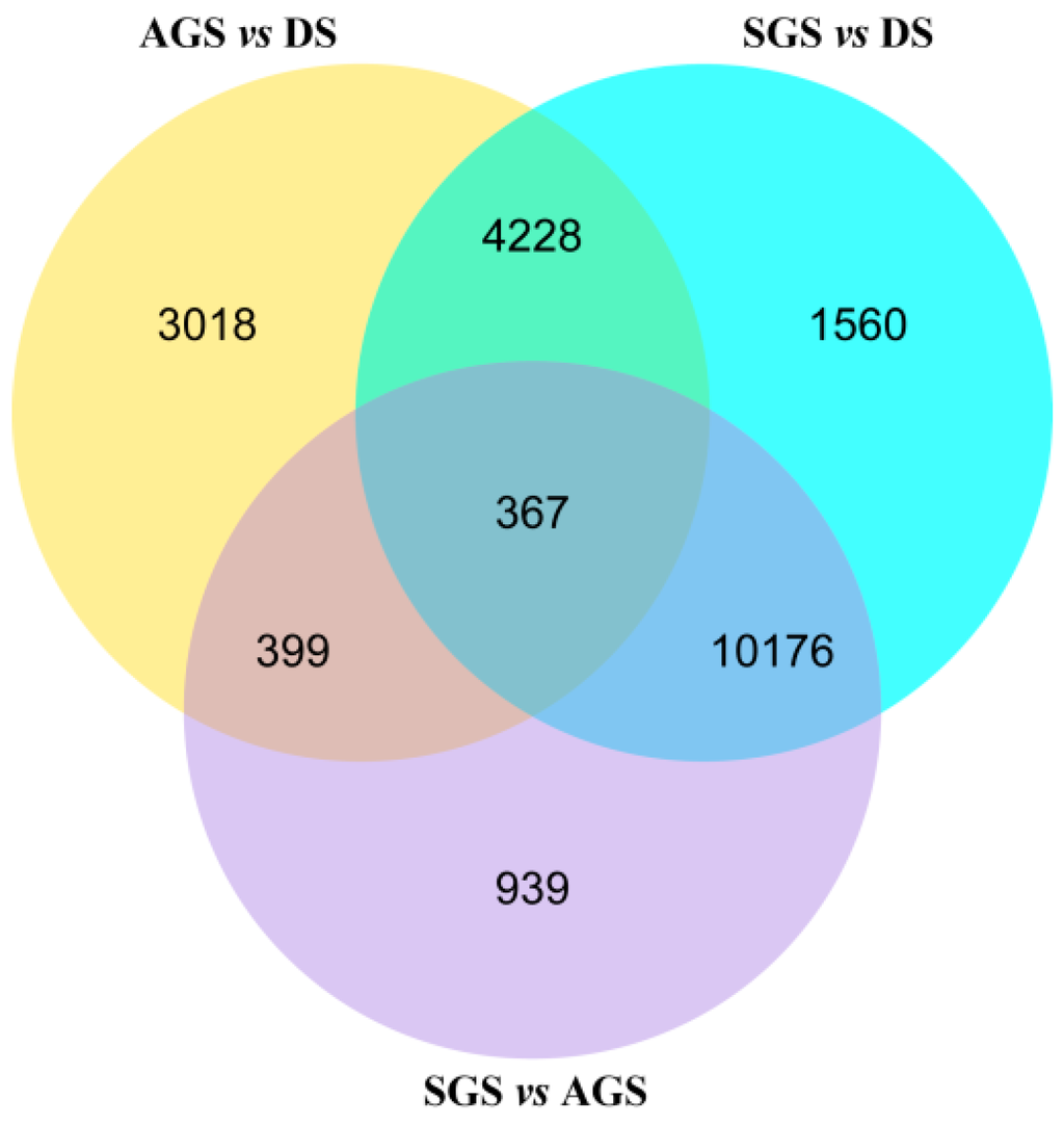 Ijms 16 26224 g004 1024
