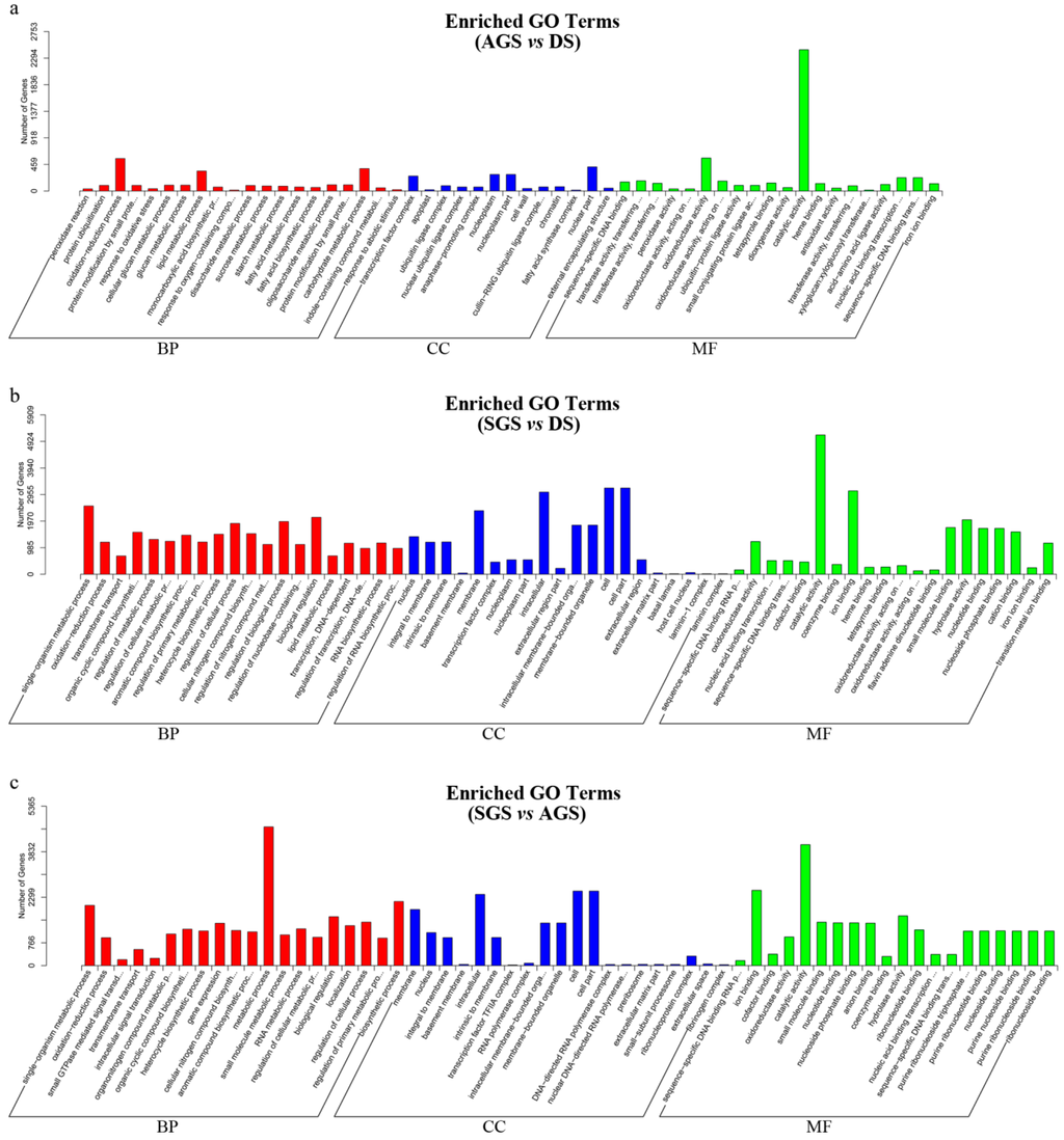 Ijms 16 26224 g005 1024