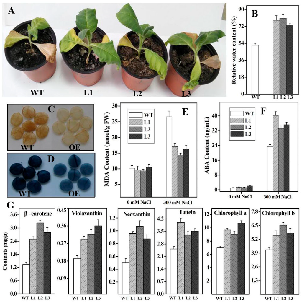 Ijms 16 26243 g007 1024