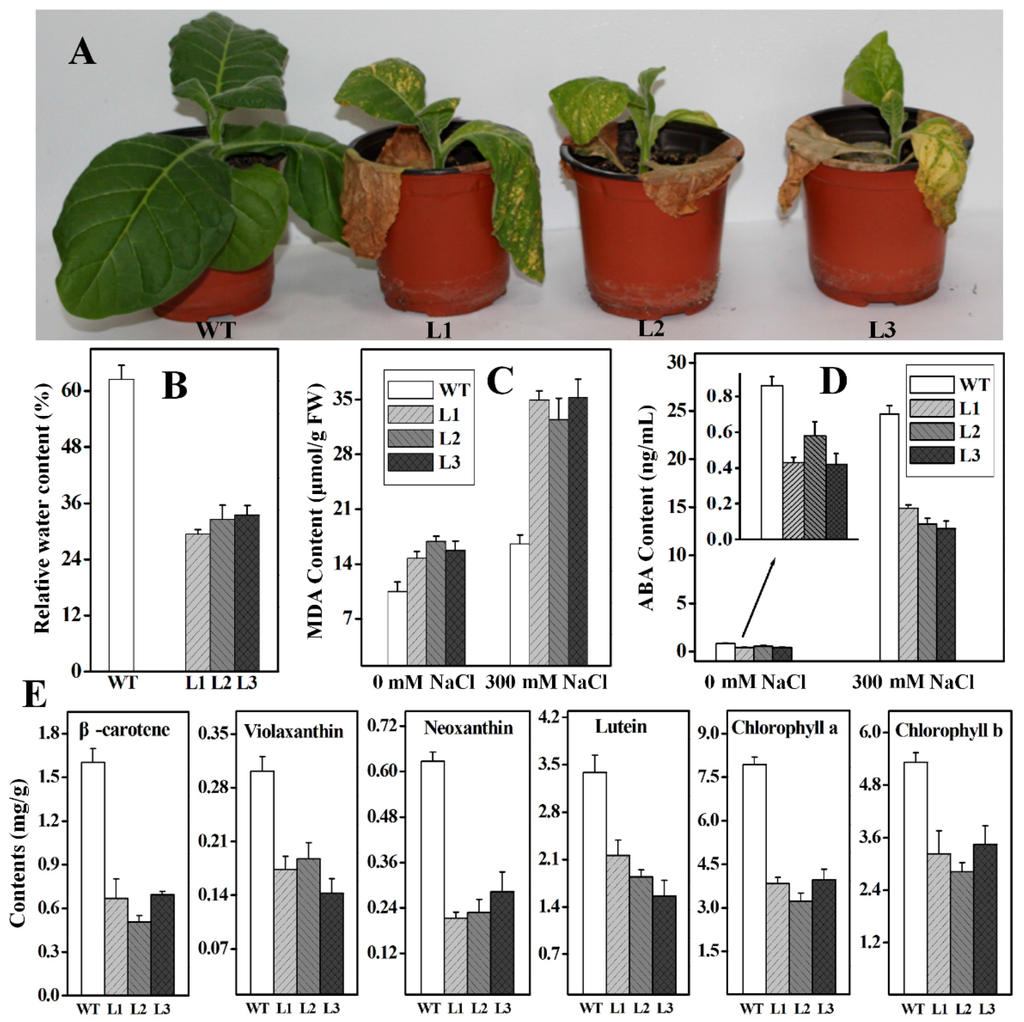 Ijms 16 26243 g008 1024