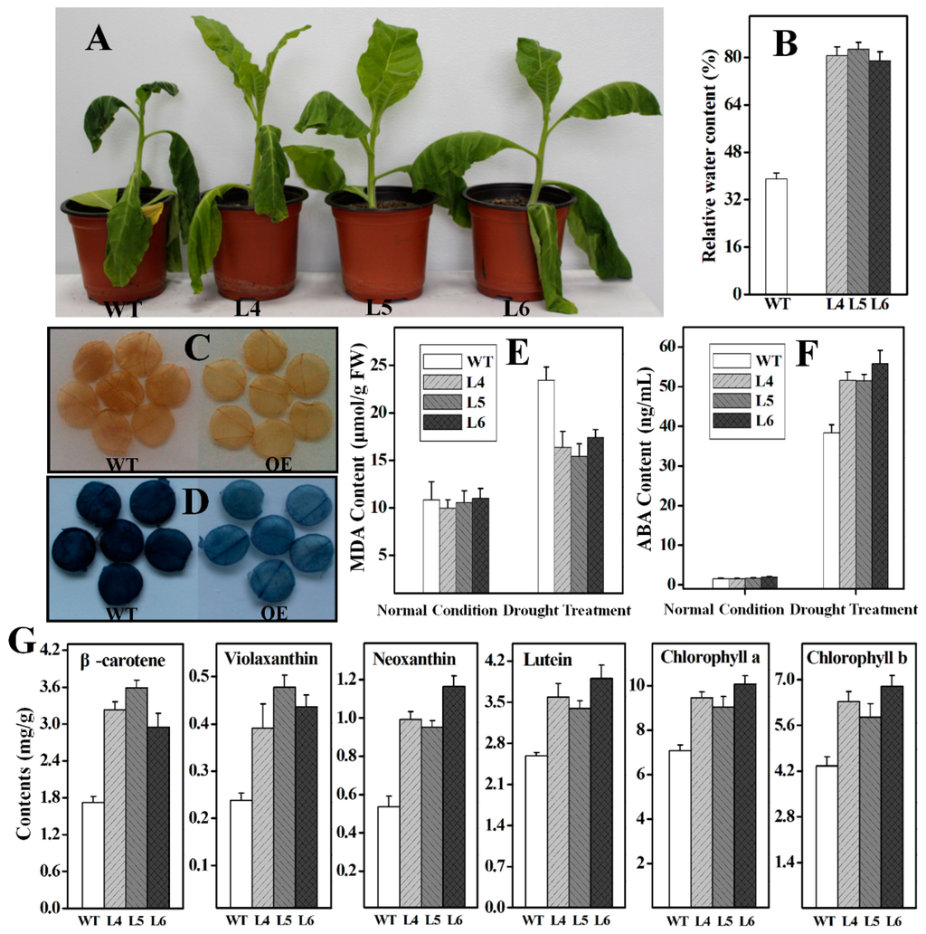 Ijms 16 26243 g009 1024