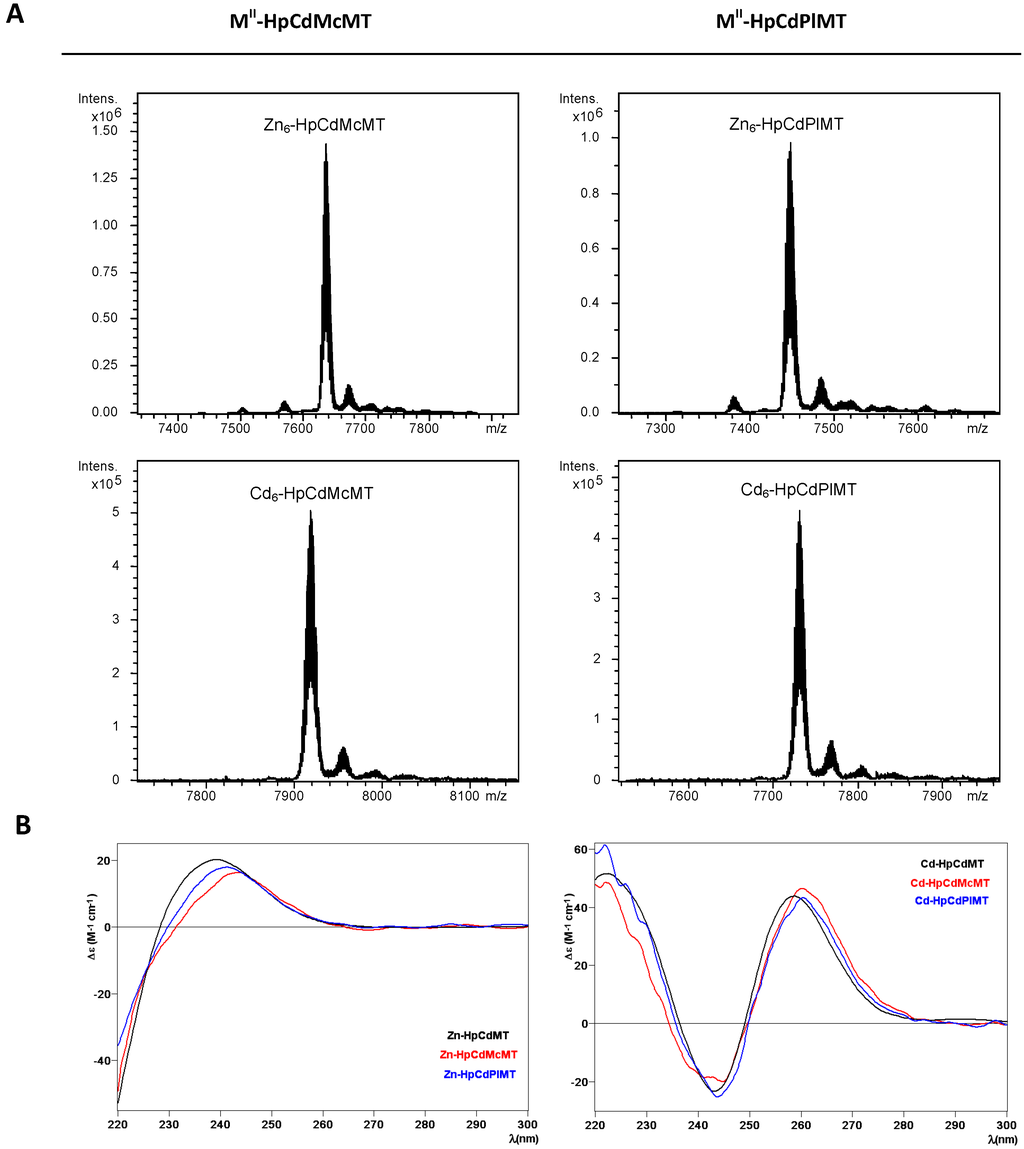 Ijms 17 00006 g003 1024