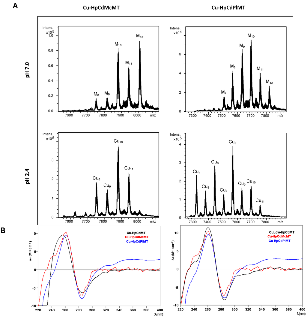 Ijms 17 00006 g005 1024