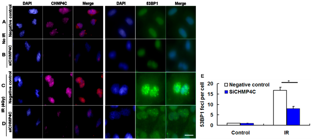 Ijms 17 00018 g008 1024