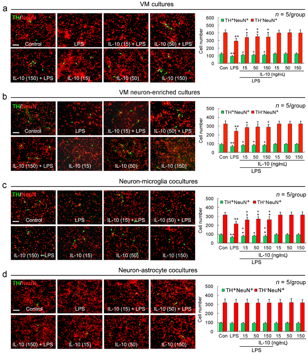 Ijms 17 00025 g001 1024
