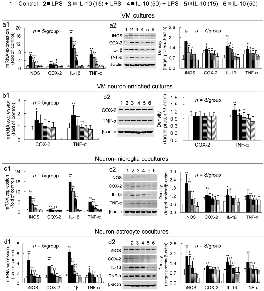 Ijms 17 00025 g003 1024