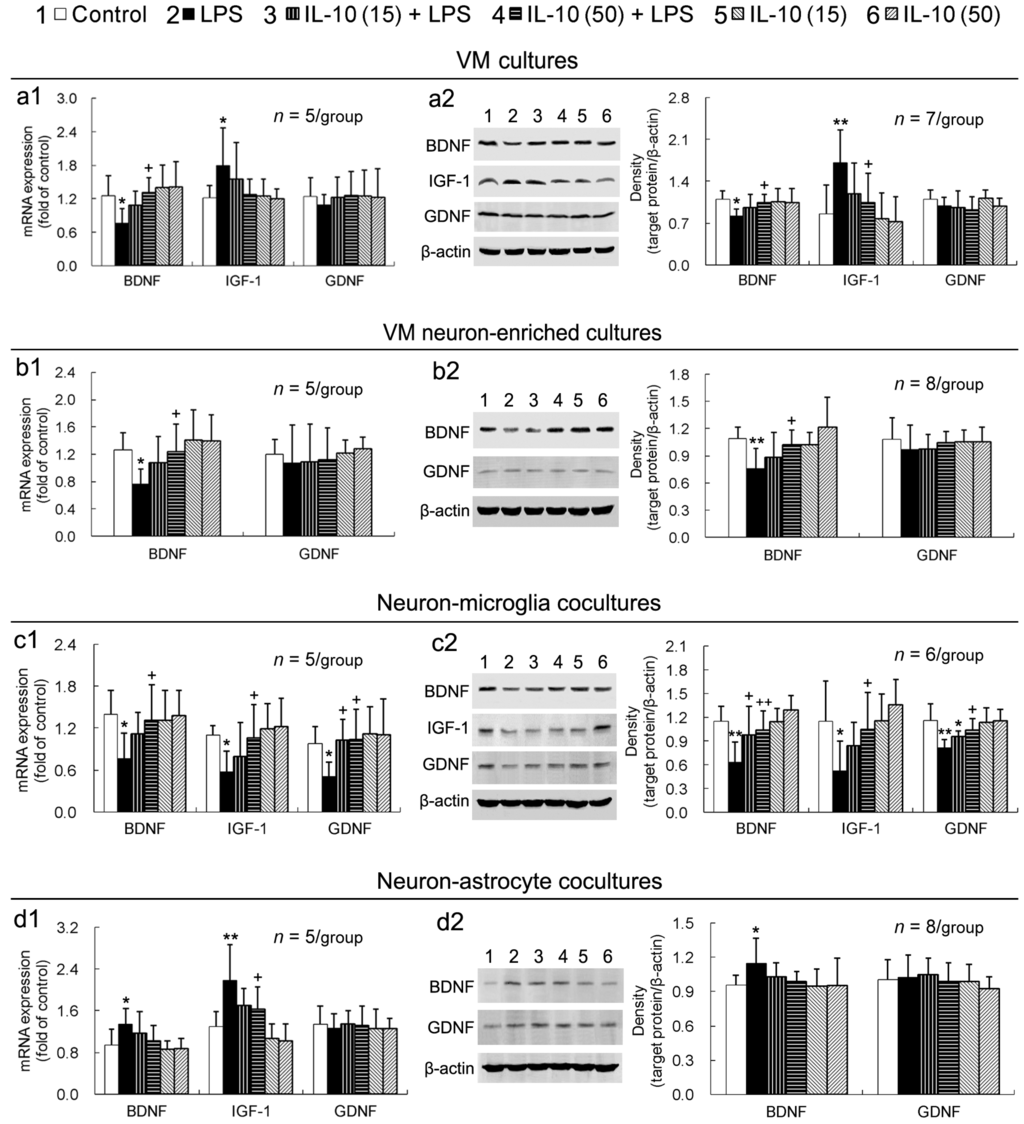 Ijms 17 00025 g004 1024
