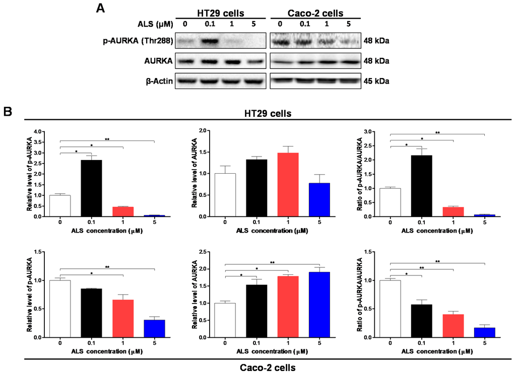Ijms 17 00041 g001 1024