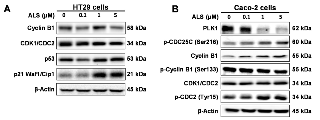 Ijms 17 00041 g003 1024