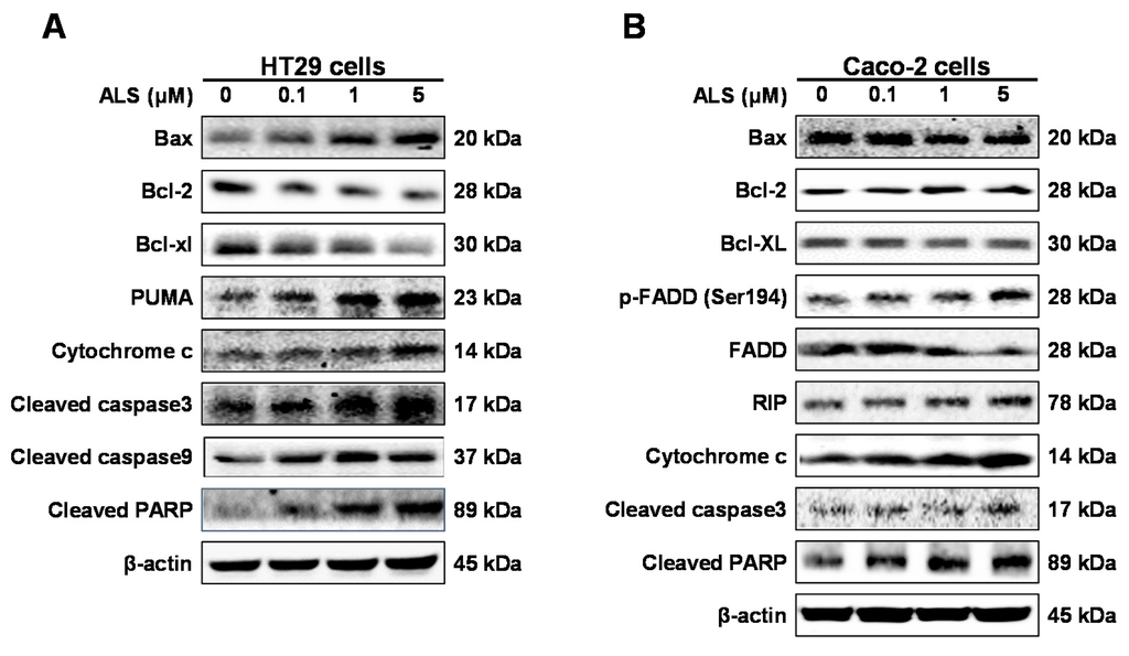 Ijms 17 00041 g005 1024