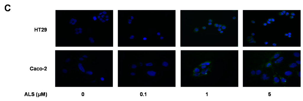 Ijms 17 00041 g006b 1024