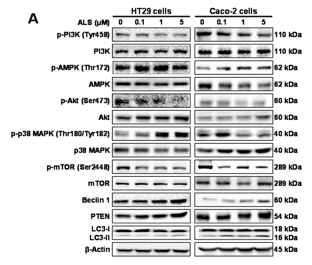 Ijms 17 00041 g007a 1024